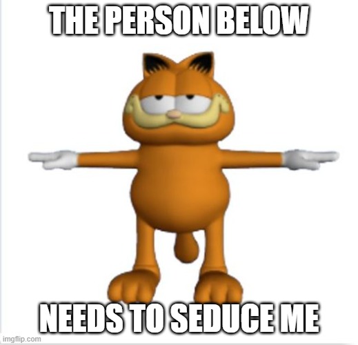 This post was made by Grillby's sister. | THE PERSON BELOW; NEEDS TO SEDUCE ME | image tagged in garfield t-pose | made w/ Imgflip meme maker