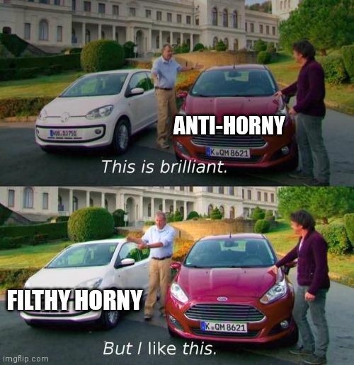 Hrony | ANTI-HORNY; FILTHY HORNY | image tagged in this is brilliant but i like this | made w/ Imgflip meme maker