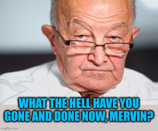 Disapproval | WHAT THE HELL HAVE YOU GONE AND DONE NOW, MERVIN? | image tagged in disapproval | made w/ Imgflip meme maker