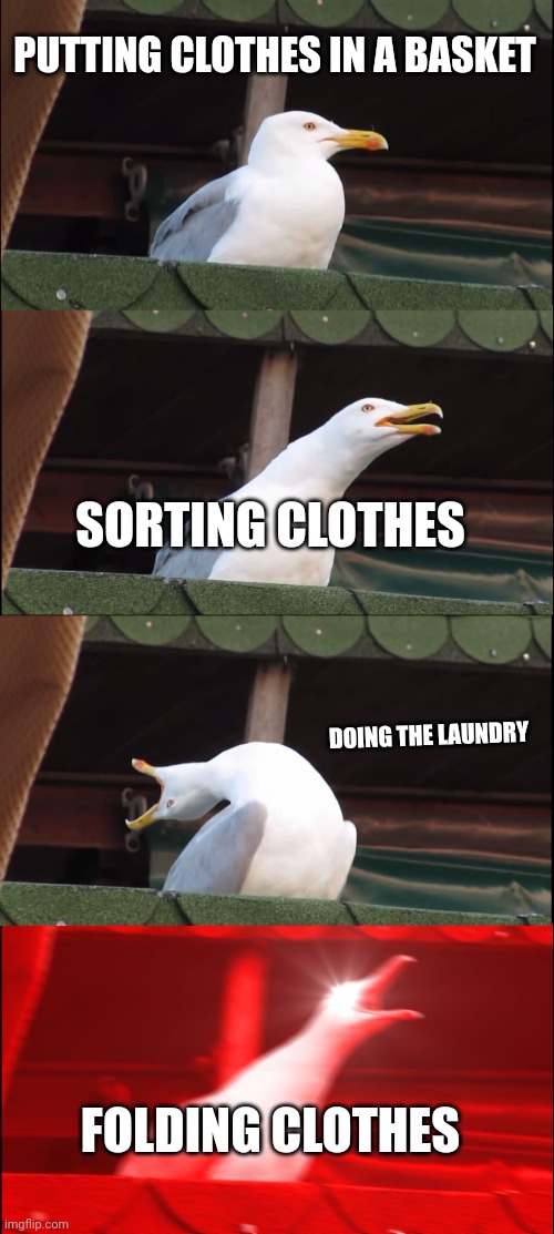 Why do we have to fold? | PUTTING CLOTHES IN A BASKET; SORTING CLOTHES; DOING THE LAUNDRY; FOLDING CLOTHES | image tagged in memes,inhaling seagull,laundry,clothes | made w/ Imgflip meme maker