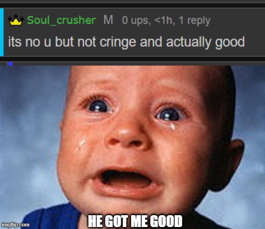 HE GOT ME GOOD | image tagged in crying baby | made w/ Imgflip meme maker