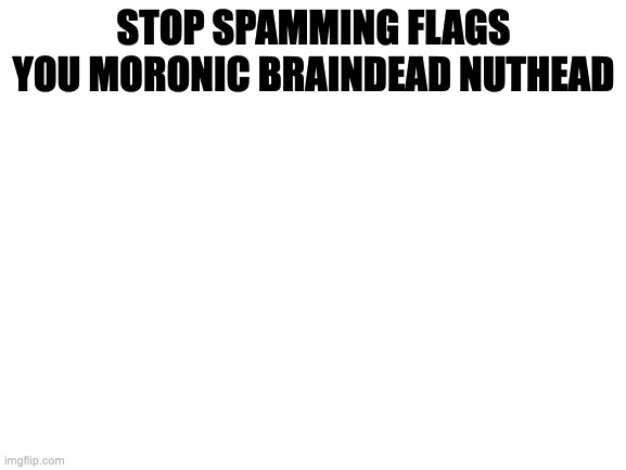 Blank White Template | STOP SPAMMING FLAGS YOU MORONIC BRAINDEAD NUTHEAD | image tagged in blank white template | made w/ Imgflip meme maker