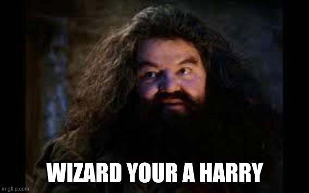 hagrid yer a wizard | WIZARD YOUR A HARRY | image tagged in hagrid yer a wizard | made w/ Imgflip meme maker