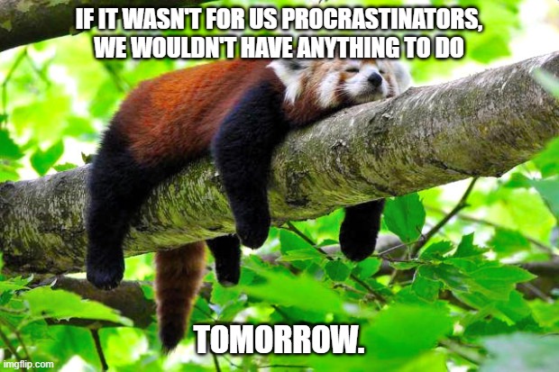 Procrastinator | IF IT WASN'T FOR US PROCRASTINATORS, WE WOULDN'T HAVE ANYTHING TO DO; TOMORROW. | image tagged in procrastination | made w/ Imgflip meme maker