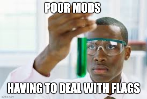 ikr | POOR MODS; HAVING TO DEAL WITH FLAGS | image tagged in finally | made w/ Imgflip meme maker