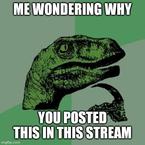 raptor | ME WONDERING WHY YOU POSTED THIS IN THIS STREAM | image tagged in raptor | made w/ Imgflip meme maker