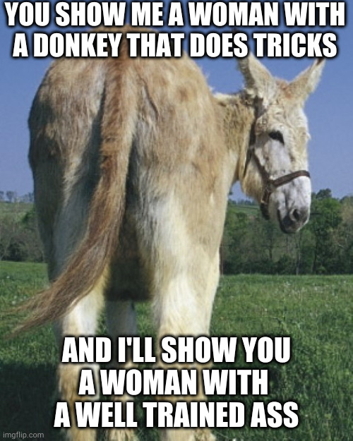 Watch as it makes the salami disappear! | YOU SHOW ME A WOMAN WITH A DONKEY THAT DOES TRICKS; AND I'LL SHOW YOU
A WOMAN WITH 
A WELL TRAINED ASS | image tagged in donkey ass | made w/ Imgflip meme maker