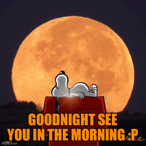 Goodnight | GOODNIGHT SEE YOU IN THE MORNING :P | image tagged in goodnight | made w/ Imgflip meme maker