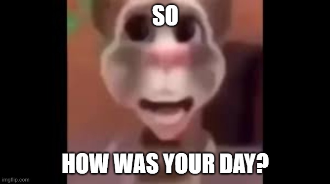 Boy What the Hell Boy | SO; HOW WAS YOUR DAY? | image tagged in boy what the hell boy | made w/ Imgflip meme maker