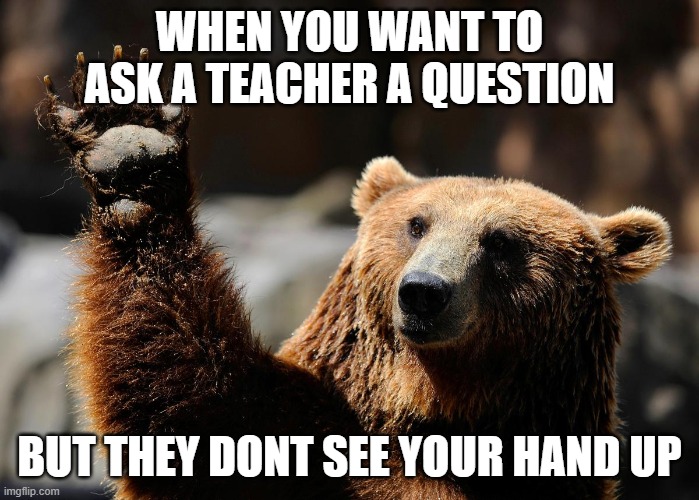 funny bear meme | WHEN YOU WANT TO ASK A TEACHER A QUESTION; BUT THEY DONT SEE YOUR HAND UP | image tagged in bear,funny | made w/ Imgflip meme maker