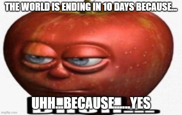 Bruh | THE WORLD IS ENDING IN 1O DAYS BECAUSE... UHH...BECAUSE......YES | image tagged in bruh | made w/ Imgflip meme maker