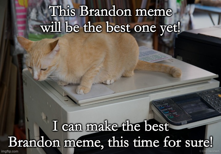 No, you can't. | This Brandon meme will be the best one yet! I can make the best Brandon meme, this time for sure! | image tagged in copycat,scumbag brain | made w/ Imgflip meme maker