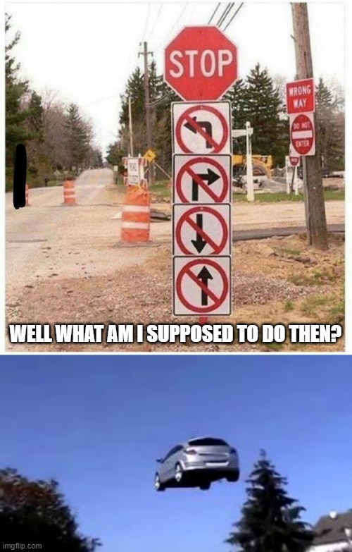 well what do i do | WELL WHAT AM I SUPPOSED TO DO THEN? | image tagged in car,sky,sign | made w/ Imgflip meme maker
