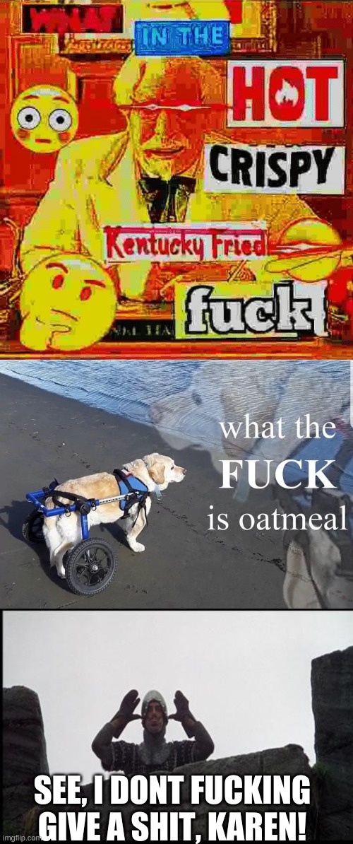 SEE, I DONT FUCKING GIVE A SHIT, KAREN! | image tagged in what in the kentucky fired f,what the f k is oatmeal,french taunting in monty python's holy grail | made w/ Imgflip meme maker