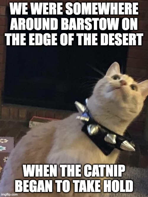 Fear and Loathing | WE WERE SOMEWHERE AROUND BARSTOW ON THE EDGE OF THE DESERT; WHEN THE CATNIP BEGAN TO TAKE HOLD | image tagged in catnip,fear and loathing | made w/ Imgflip meme maker