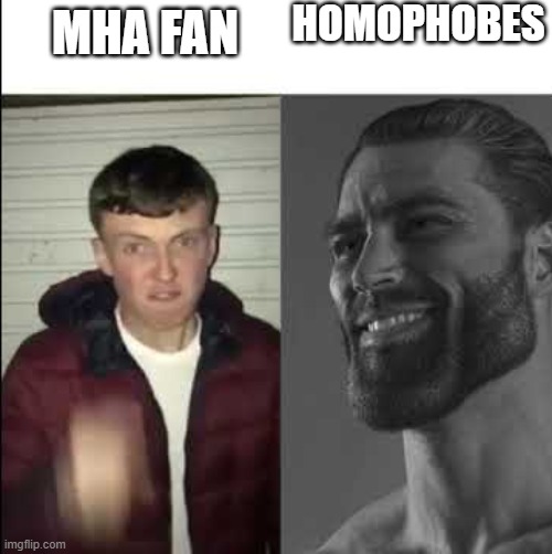 Giga chad template | HOMOPHOBES; MHA FAN | image tagged in giga chad template | made w/ Imgflip meme maker