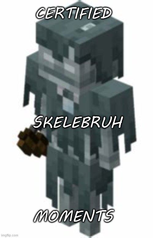 boring and bored | CERTIFIED; SKELEBRUH; MOMENTS | image tagged in skeleton | made w/ Imgflip meme maker