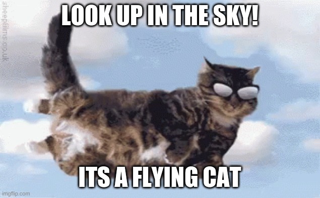 Flying Cat Meme | LOOK UP IN THE SKY! ITS A FLYING CAT | image tagged in funny cat memes | made w/ Imgflip meme maker
