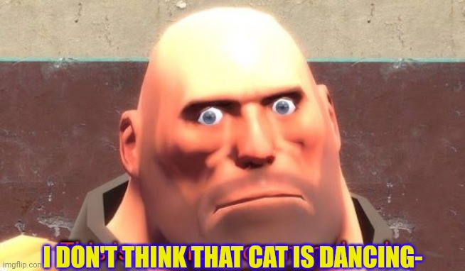 This is so wrong on many levels. | I DON'T THINK THAT CAT IS DANCING- | image tagged in this is so wrong on many levels | made w/ Imgflip meme maker