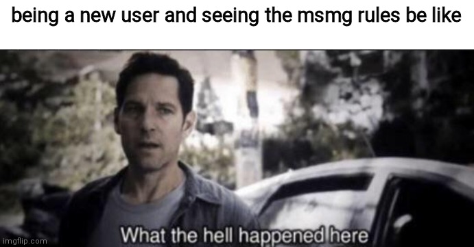 What the hell happened here | being a new user and seeing the msmg rules be like | image tagged in what the hell happened here | made w/ Imgflip meme maker