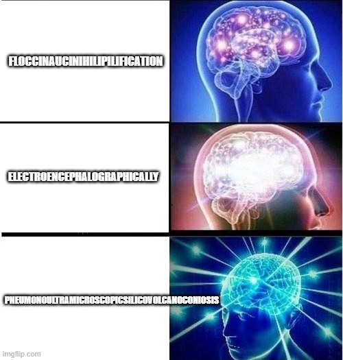 Expanding brain 3 panels | FLOCCINAUCINIHILIPILIFICATION; ELECTROENCEPHALOGRAPHICALLY; PNEUMONOULTRAMICROSCOPICSILICOVOLCANOCONIOSIS | image tagged in expanding brain 3 panels | made w/ Imgflip meme maker