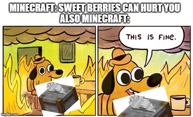 Minecraft Memes | MINECRAFT: SWEET BERRIES CAN HURT YOU
ALSO MINECRAFT: | image tagged in memes,this is fine,funny memes,minecraft | made w/ Imgflip meme maker