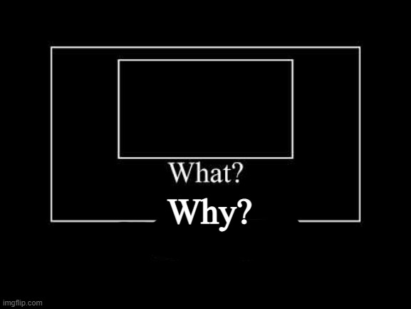 what | Why? | image tagged in what | made w/ Imgflip meme maker