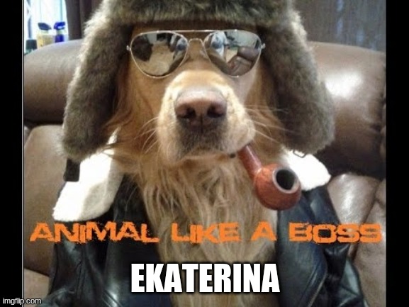 russian dog | EKATERINA | image tagged in memes | made w/ Imgflip meme maker