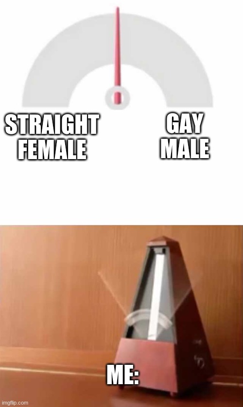Can't make up my damn mind | GAY MALE; STRAIGHT FEMALE; ME: | image tagged in metronome | made w/ Imgflip meme maker
