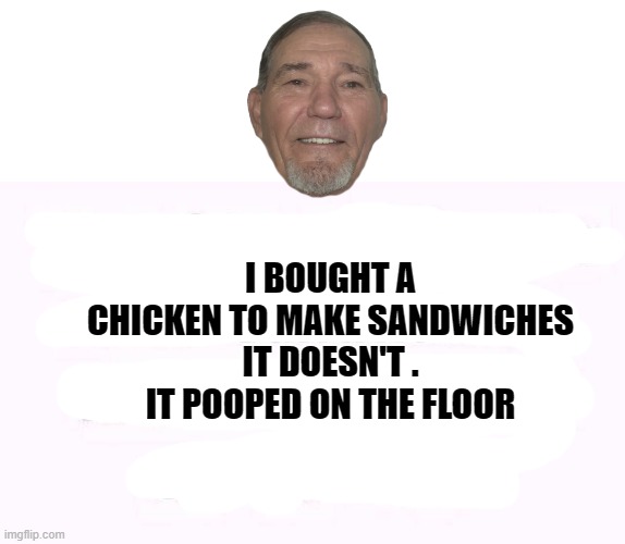 chicken sandwich | I BOUGHT A CHICKEN TO MAKE SANDWICHES IT DOESN'T . IT POOPED ON THE FLOOR | image tagged in chicken,sandwiches | made w/ Imgflip meme maker