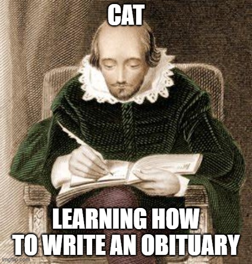 shakespeare writing | CAT; LEARNING HOW TO WRITE AN OBITUARY | image tagged in shakespeare writing | made w/ Imgflip meme maker