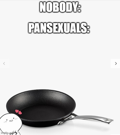 joke | PANSEXUALS:; NOBODY: | image tagged in frying pan | made w/ Imgflip meme maker