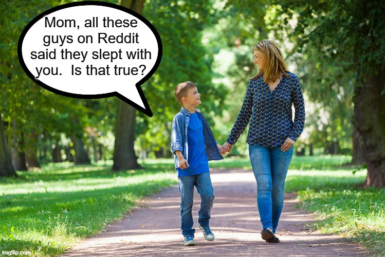 Villainous_Blue's Revenge | Mom, all these guys on Reddit said they slept with you.  Is that true? | image tagged in mom and son walking | made w/ Imgflip meme maker