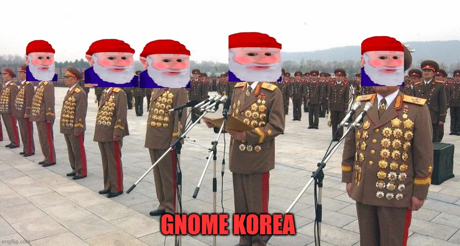 North Korea Medals | GNOME KOREA | image tagged in north korea medals | made w/ Imgflip meme maker