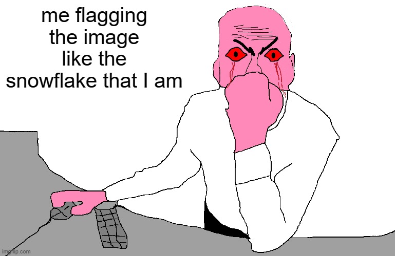 me flagging the image like the snowflake that I am | made w/ Imgflip meme maker