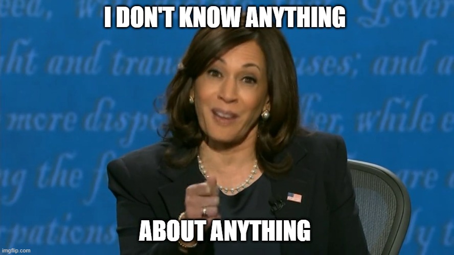 Kamala Harris Deflection | I DON'T KNOW ANYTHING; ABOUT ANYTHING | image tagged in kamala harris deflection | made w/ Imgflip meme maker