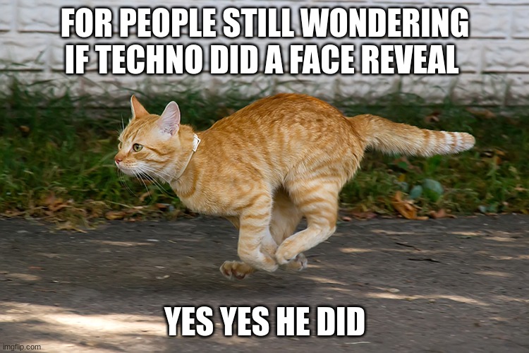 https://www.youtube.com/watch?v=G556WDqLL2Y you're welcome people, have a nice day :D | FOR PEOPLE STILL WONDERING IF TECHNO DID A FACE REVEAL; YES YES HE DID | made w/ Imgflip meme maker