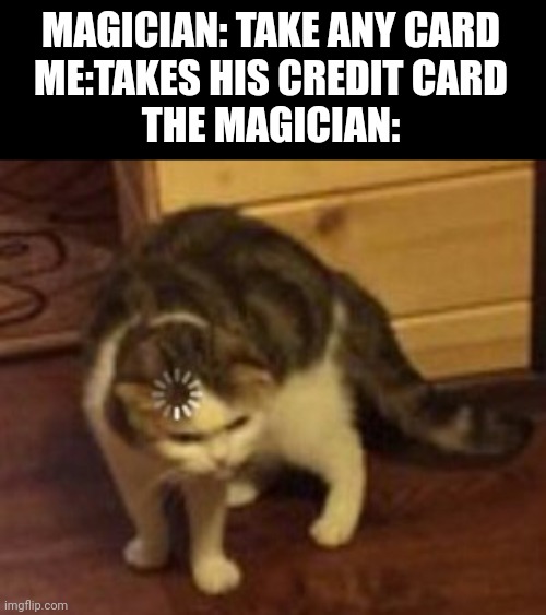 *Insert delay* | MAGICIAN: TAKE ANY CARD
ME:TAKES HIS CREDIT CARD
THE MAGICIAN: | image tagged in loading cat | made w/ Imgflip meme maker
