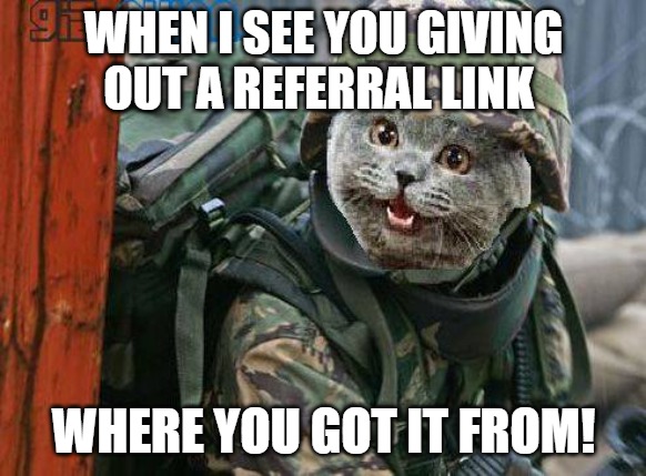 soldier up | WHEN I SEE YOU GIVING OUT A REFERRAL LINK; WHERE YOU GOT IT FROM! | image tagged in army cat | made w/ Imgflip meme maker