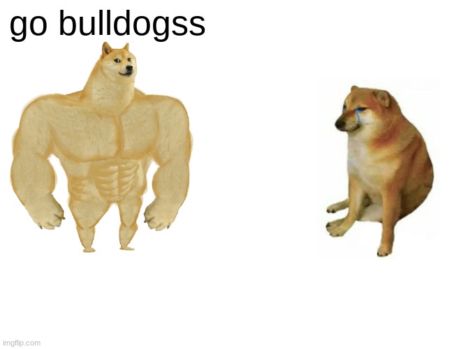 Buff Doge vs. Cheems Meme | go bulldogss | image tagged in memes,buff doge vs cheems | made w/ Imgflip meme maker
