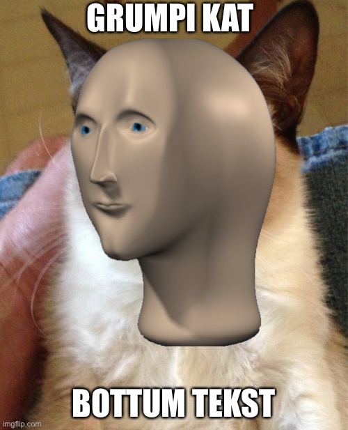 Grumpi Kat |  GRUMPI KAT; BOTTUM TEKST | image tagged in grumpy cat,meme man | made w/ Imgflip meme maker
