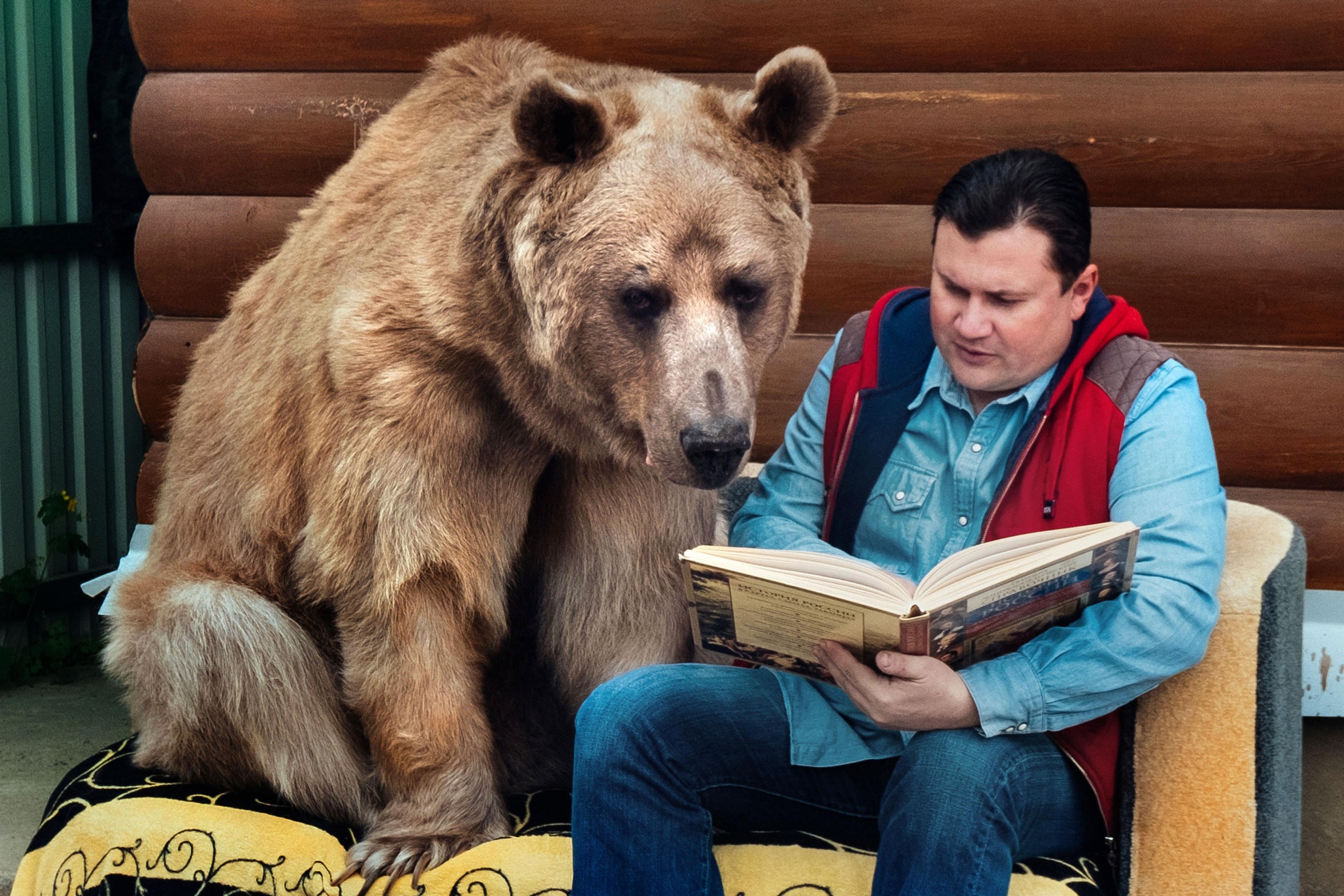 Man reading book to bear Blank Meme Template