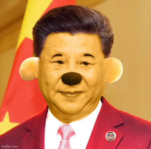 XinPing The Pooh | image tagged in xinping the pooh | made w/ Imgflip meme maker