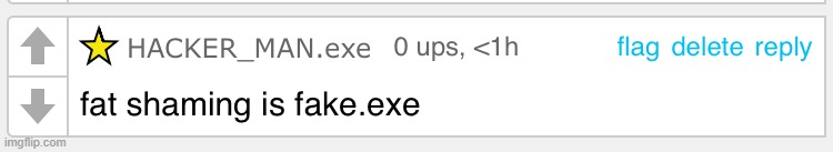 Fat shaming is fake.exe | image tagged in fat shaming is fake exe | made w/ Imgflip meme maker