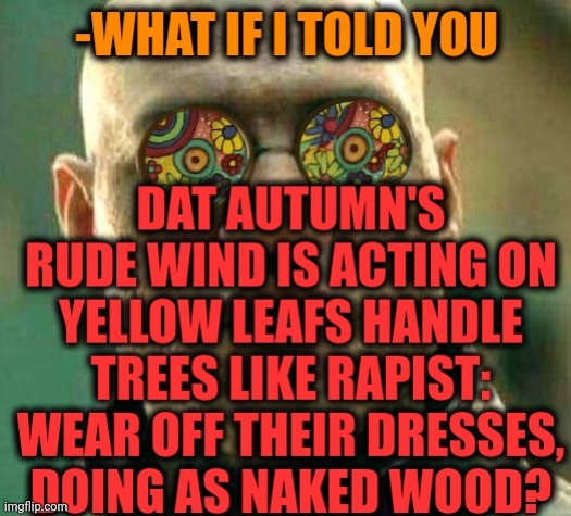 -Windy Wendy. | image tagged in acid kicks in morpheus,wind,autumn leaves,naked,happy little trees,therapist | made w/ Imgflip meme maker