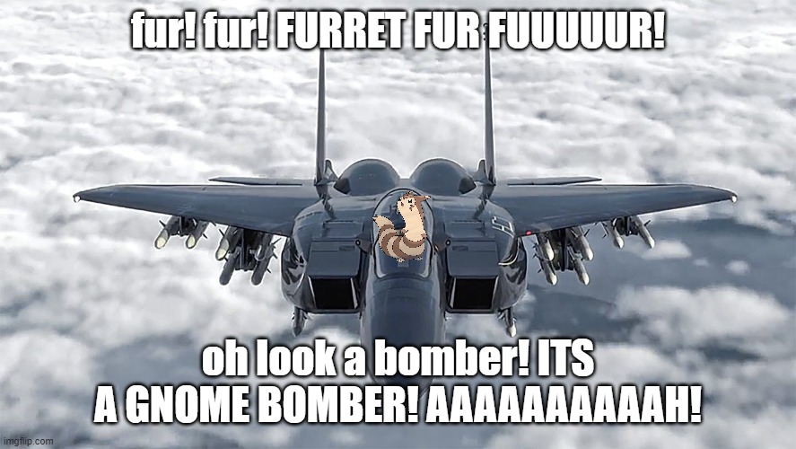 F-15 | fur! fur! FURRET FUR FUUUUUR! oh look a bomber! ITS A GNOME BOMBER! AAAAAAAAAAH! | image tagged in f-15 | made w/ Imgflip meme maker