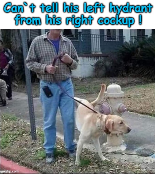 Canine leg-cocking syndrome ! | Can`t tell his left hydrant
from his right cockup ! | image tagged in pee wee | made w/ Imgflip meme maker