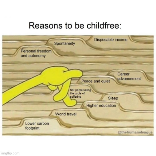 Reasons to be Childfree | image tagged in single,single life,political | made w/ Imgflip meme maker