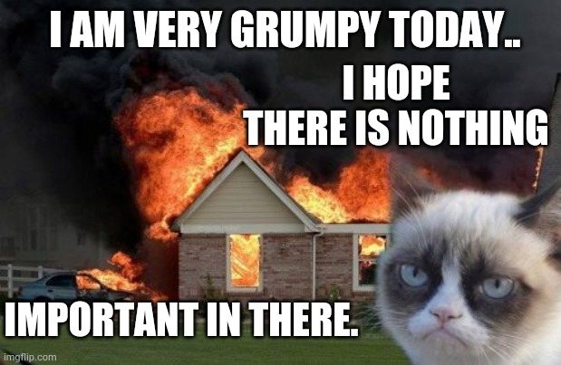 Grumpy Cat | I AM VERY GRUMPY TODAY.. I HOPE THERE IS NOTHING; IMPORTANT IN THERE. | image tagged in memes,burn kitty,grumpy cat,nothing,important,inside | made w/ Imgflip meme maker