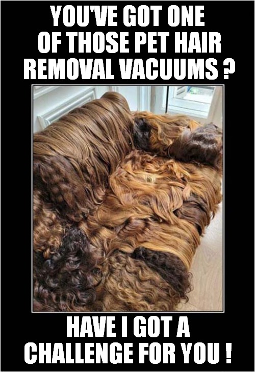 Extreme Product Testing ! | YOU'VE GOT ONE 
OF THOSE PET HAIR REMOVAL VACUUMS ? HAVE I GOT A CHALLENGE FOR YOU ! | image tagged in vacuum cleaner,sofa,hairy | made w/ Imgflip meme maker